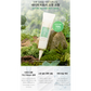 [JM Solution] Nature Tea Tree Spot Cream