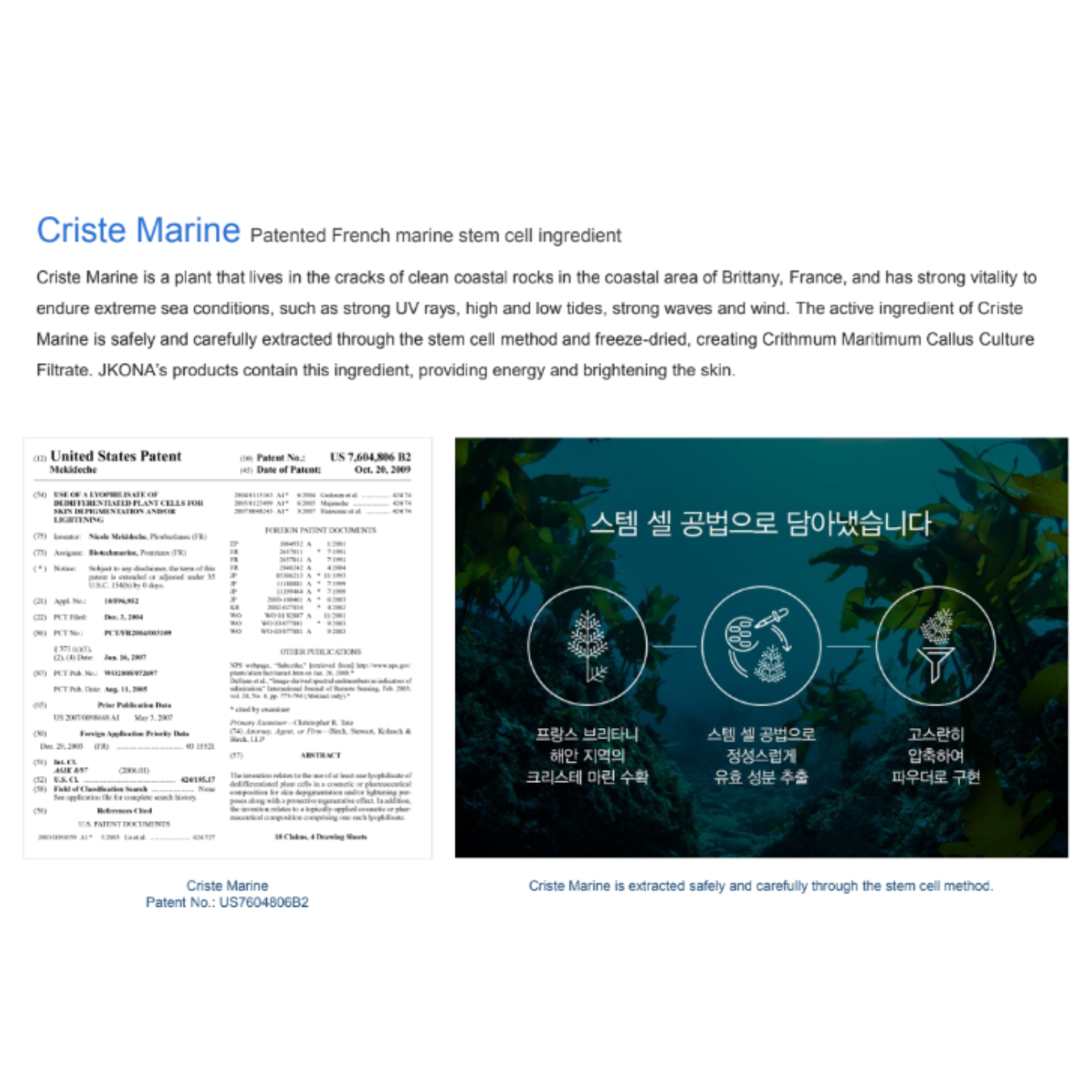 [JKONA]Marine Miracle Balancing Hydrogel Mask