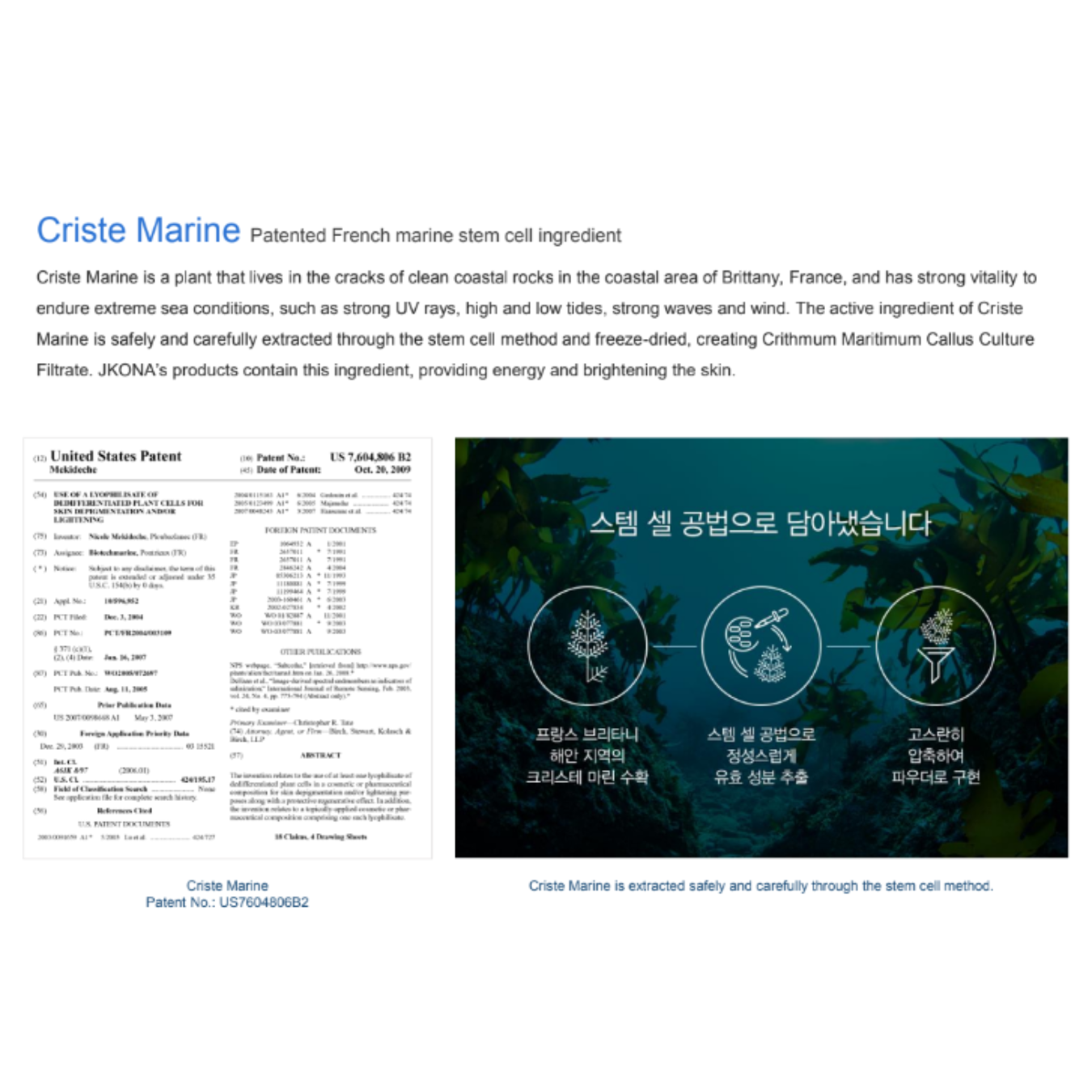 [JKONA]Marine Miracle Balancing Sleeping Mask