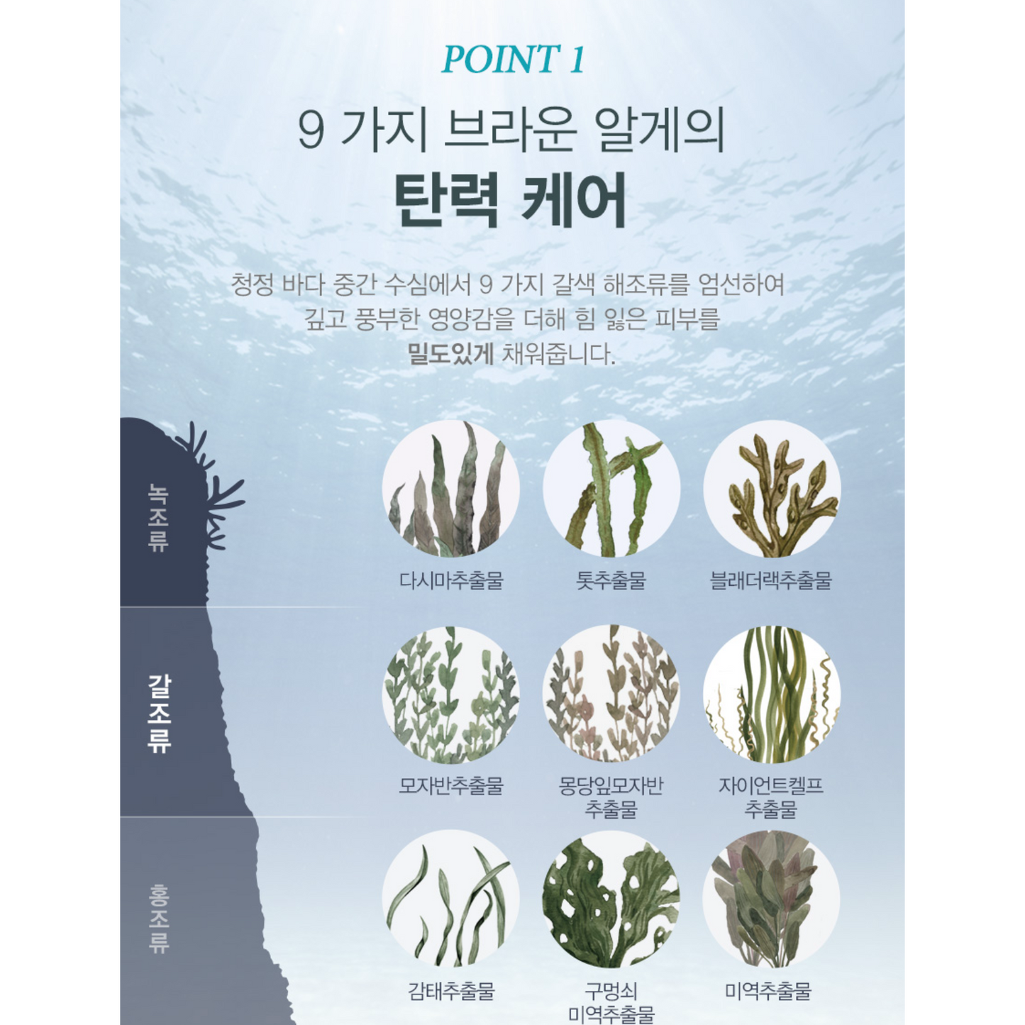 [JKONA]Marine Miracle Vital Serum