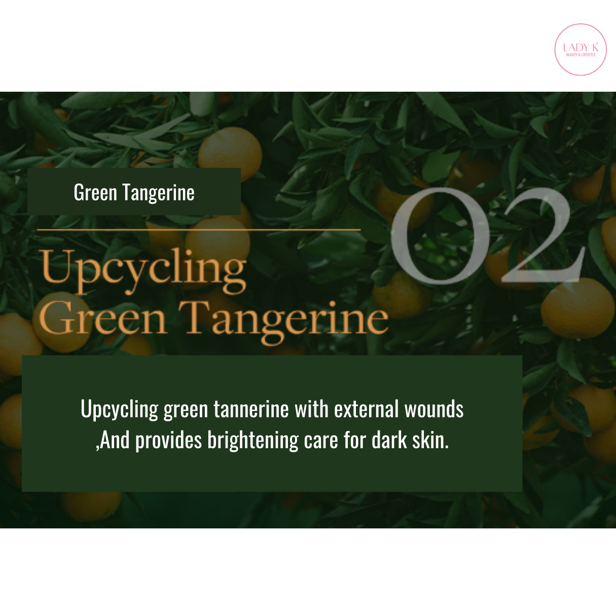 [Vethic] Green Tangerine Clear Darkspot Stick