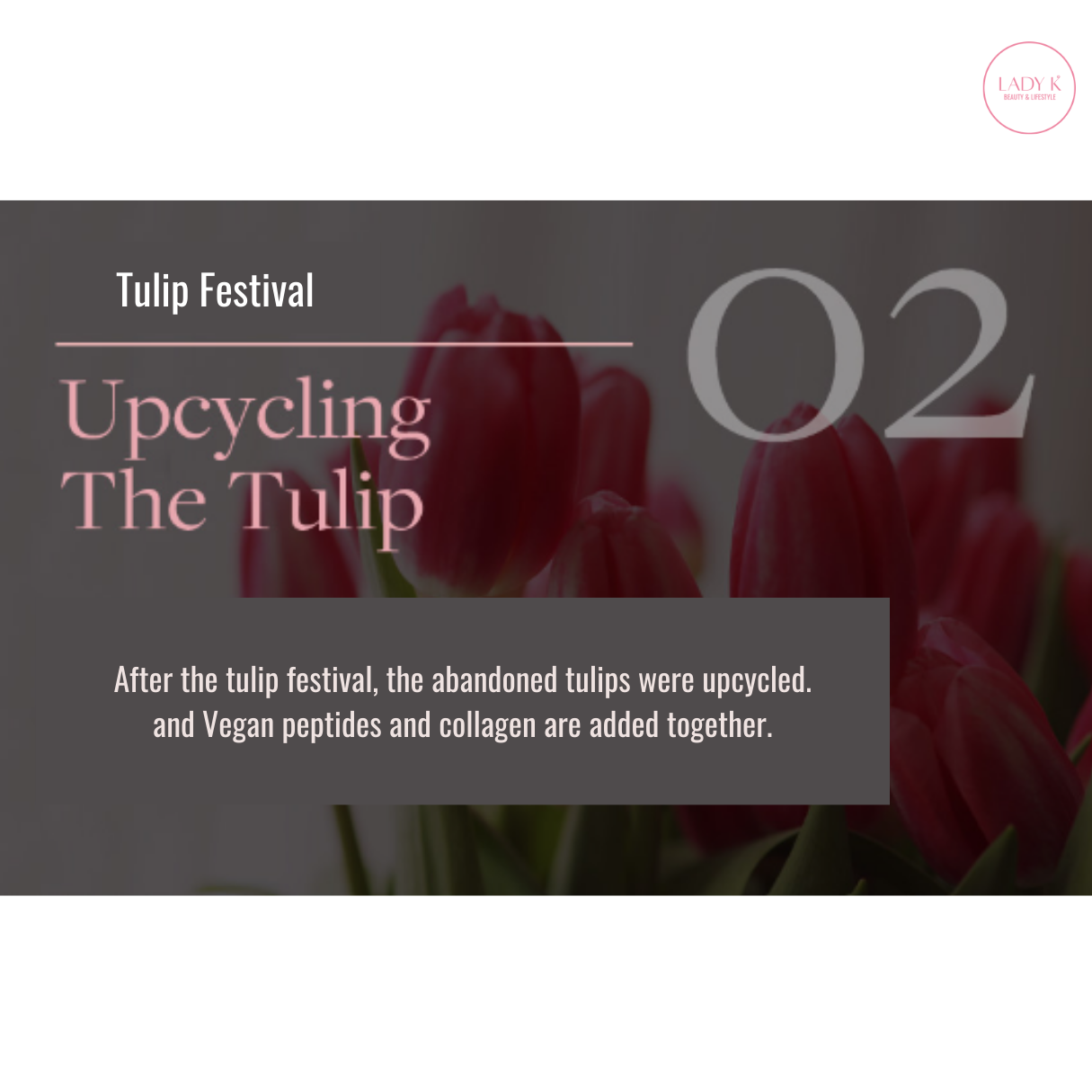 [Vethic] The Tulip Repair Eye Balm