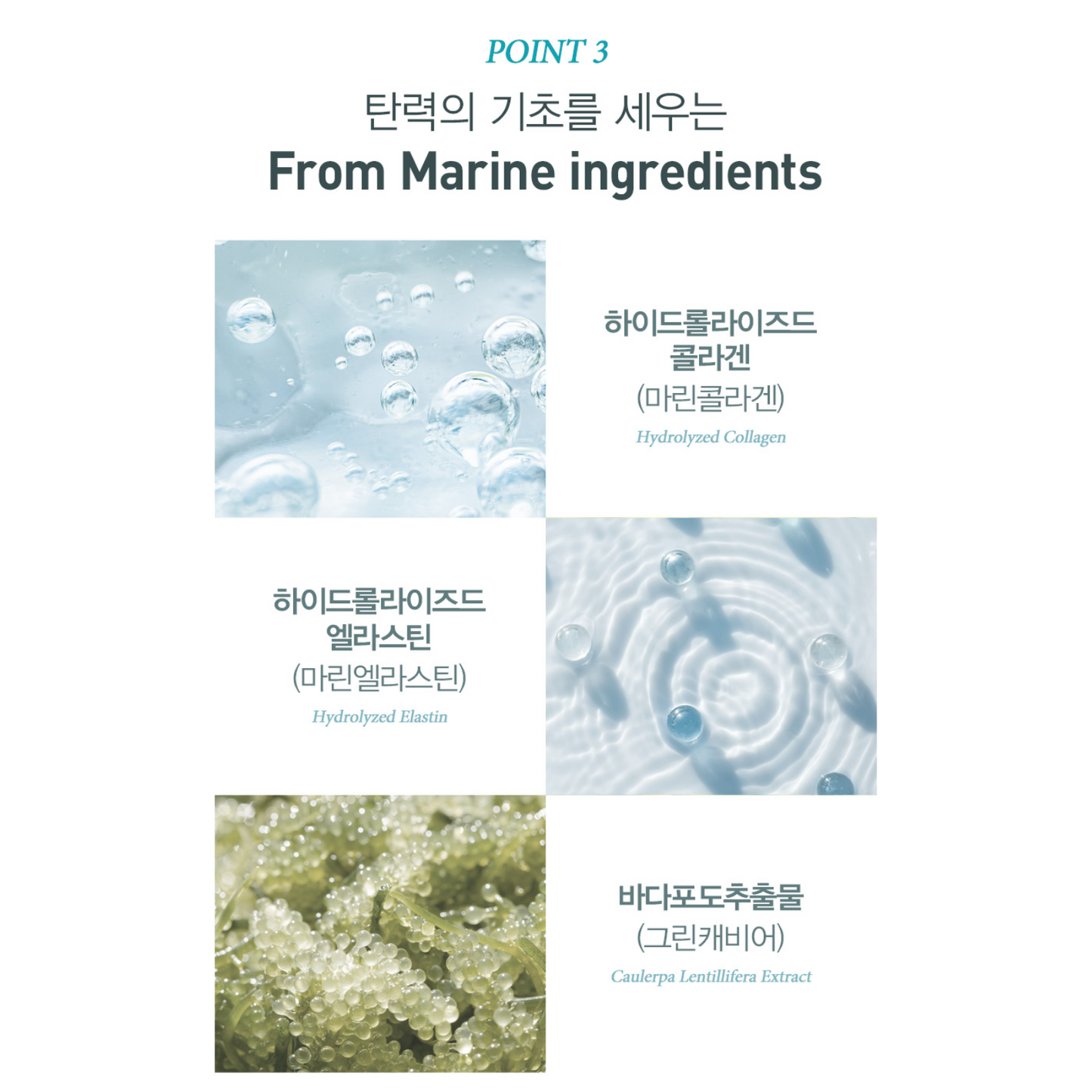 [JKONA]Marine Miracle Vital Serum
