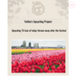 [Vethic] The Tulip Repair Serum